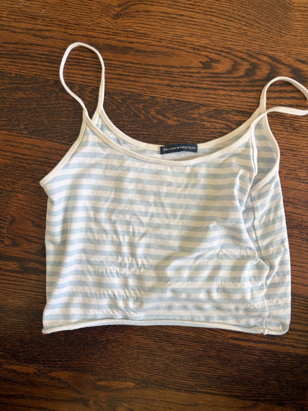 Brandy Melville Pale Blue & White Striped Camisole